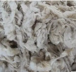 供应内蒙古羊毛 纯天然牧场 绵羊洗净毛 绵羊毛原毛 绵羊毛绒批发