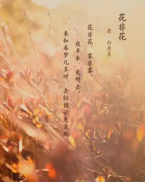 白居易的是以通俗易懂著称,《花非花》是他诸多诗里面少有的含蓄