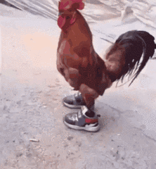 搞笑动态图片,开心一笑