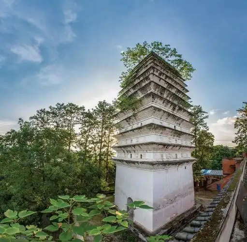 【创建天府旅游名县】问旅翠屏•冬吟|千年屹立的宋代旧州塔|奇石|