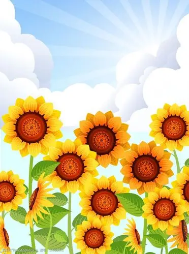 卡通向日葵