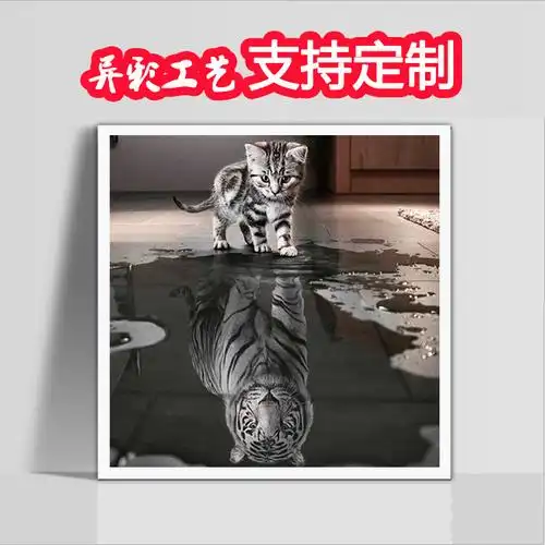 外贸爆款 钻石画diy满钻动物小猫倒影老虎点钻十字绣厂家批发定做