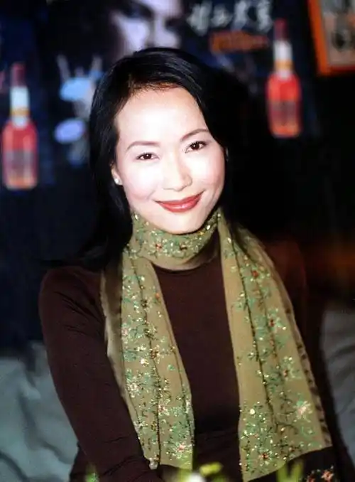 结婚34年无子女,目睹富豪丈夫"梅开四度",叶童为何坚持不肯离婚?