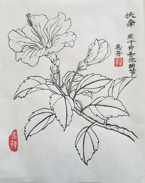 会员作品白描《扶桑》