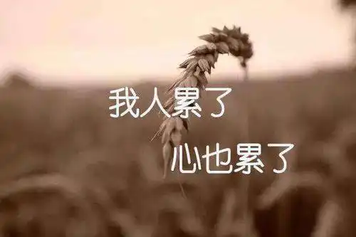 喜欢一个人真累,还是乖乖的等别人来喜欢我吧.