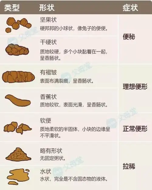 可将便便分为以下7种类型:根据布里斯托大便分类方法,从形状看大便