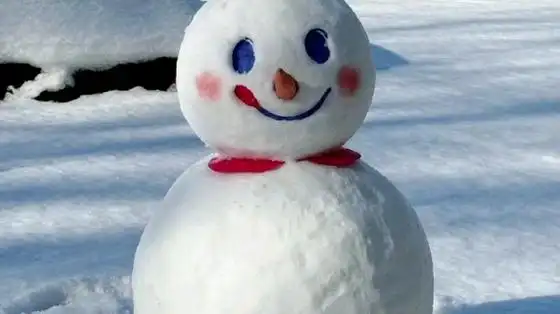 来自一个评论区的各种精美小雪人,快看看有没有你喜欢的