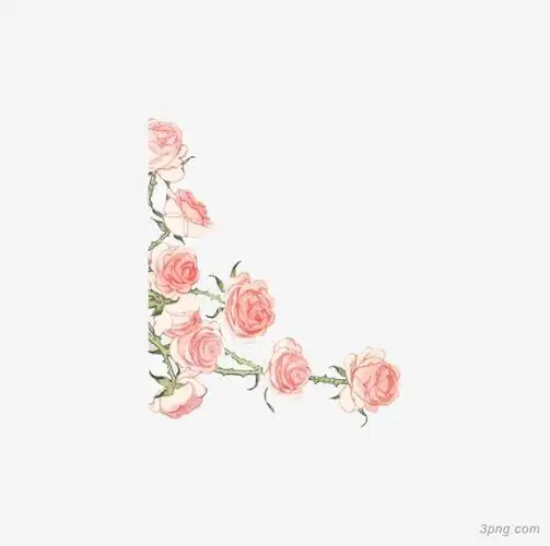 粉色玫瑰边框png素材透明免抠图片其他元素