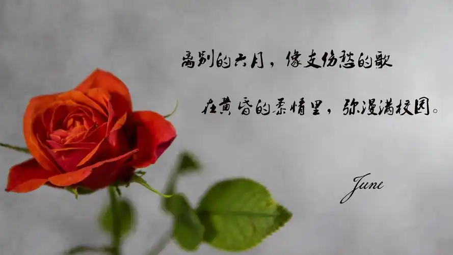 毕业离别的文艺短句子图片壁纸图片