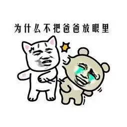 表情包斗图,没这些表情包你就out了!-搞笑频道-手机搜狐