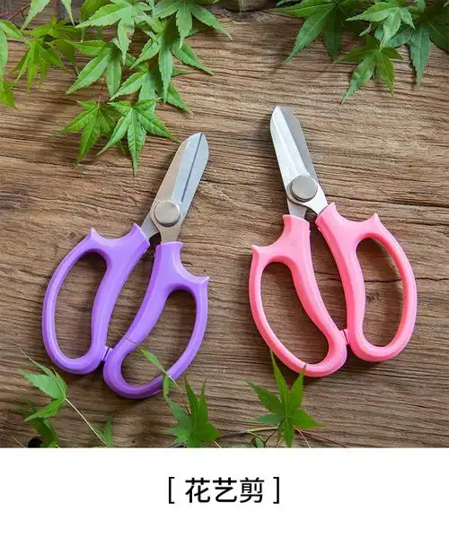 园艺工具剪刀花剪 家用花艺剪刀 粗枝剪【图片 价格 品牌 报价】-京东