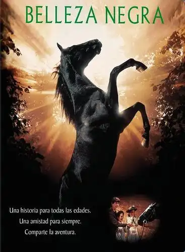 黑骏马 black beauty的海报