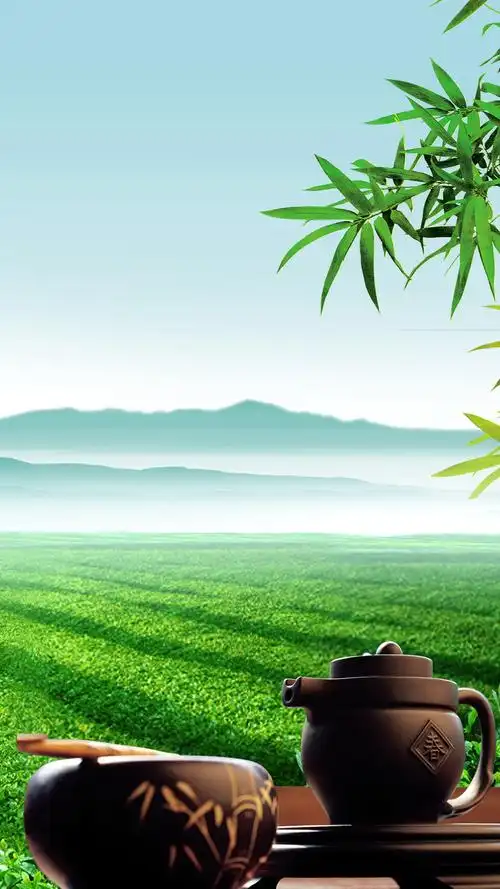 绿色茶叶psd分层h5背景jpg素材下载,绿色茶叶psd分层h5背景psd设计