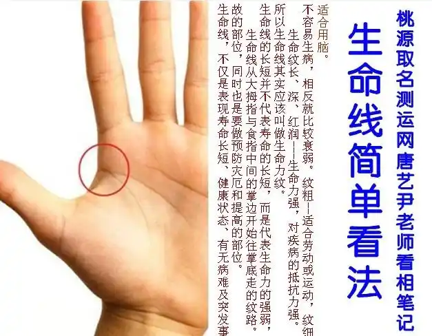 生命线看法图解桃源取名测运网