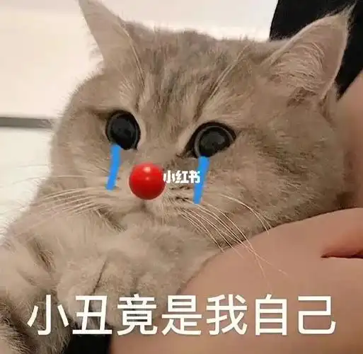 原来那个用三根筷子吃饭的傻子是我本人