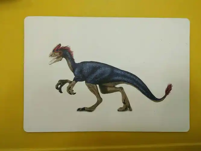 冠龙:头上有个鸡冠