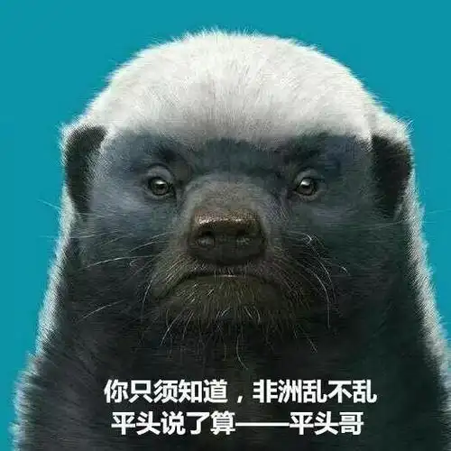 社会平头哥是什么梗