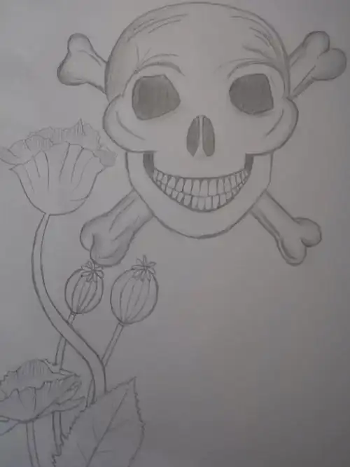 禁毒宣传小日常