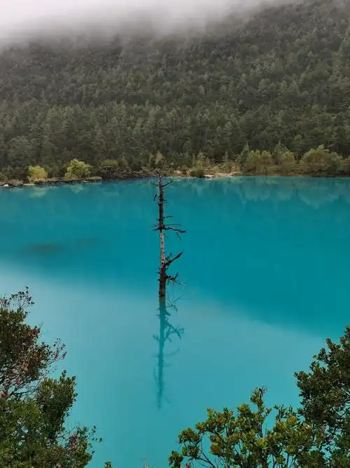 玉龙雪山蓝月谷丽江古城一天