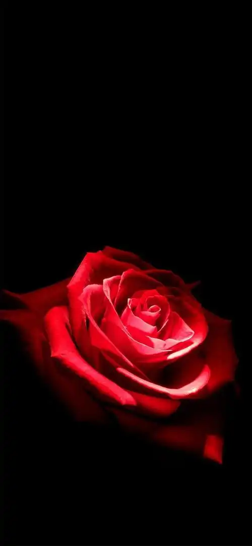 好看的手机壁纸苹果手机壁纸