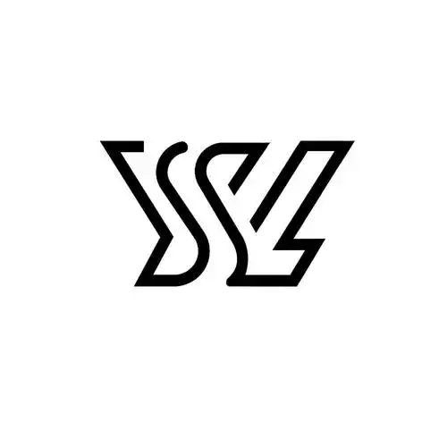 ysl 商标公告