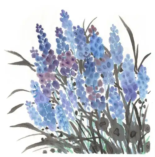 中国画水墨花卉系列第一季共1000幅-衣草