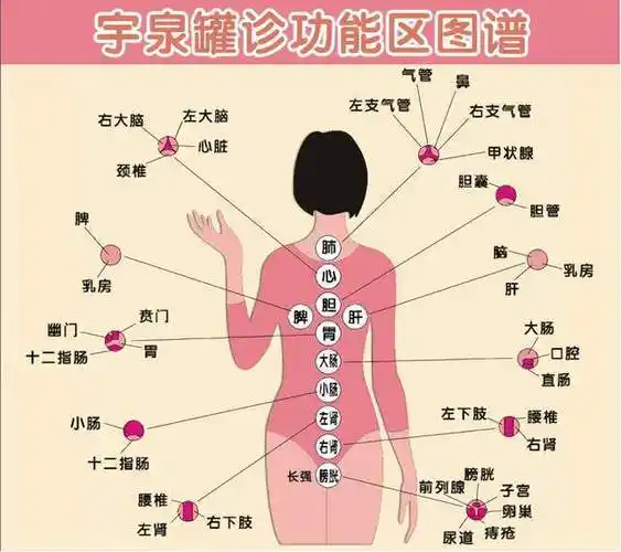 宇泉罐诊罐疗的发明与创新_诊断_人体_疾病
