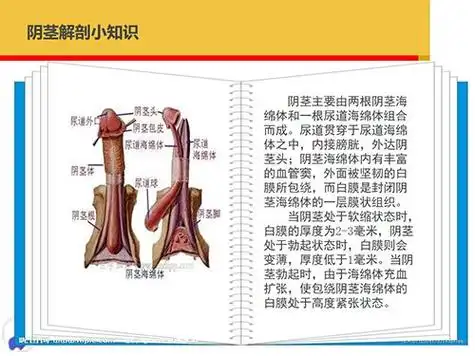 【男科那些事儿】奇"啪"夫妻太兴奋致阴茎骨折 王祖