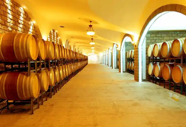 美景山东丨华东葡萄酒庄园国家级工业旅游示范点