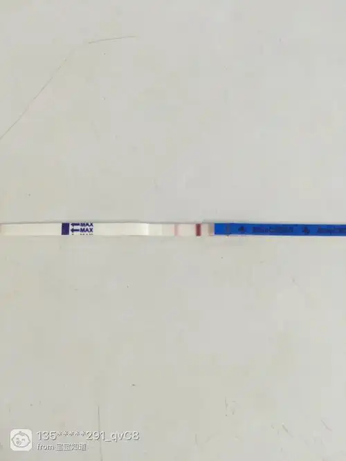 验孕棒一深一浅是怀孕了吗(验孕棒一深一浅是怀孕了吗图片有一点肚子