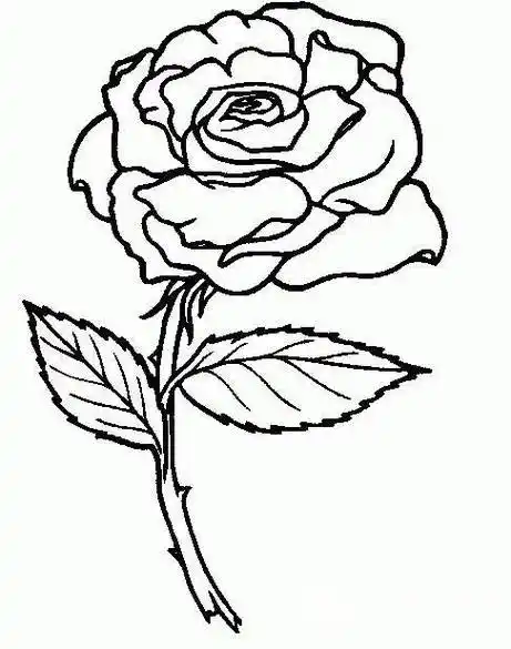 简笔画玫瑰 简笔画玫瑰花怎么画