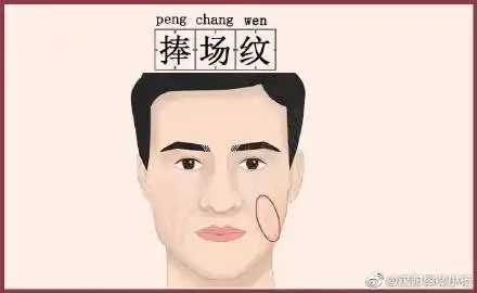 它位于脸颊的两侧,是从下巴的两端而起,向上延伸的两条纹路.