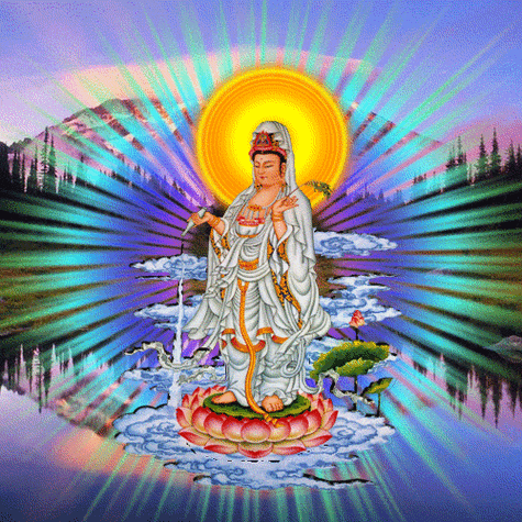 500_500gif 动态图 动图