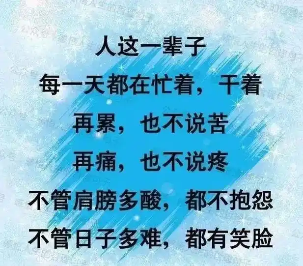 人生感悟的经典句子 每天努力一点点,收获就会 - 抖音