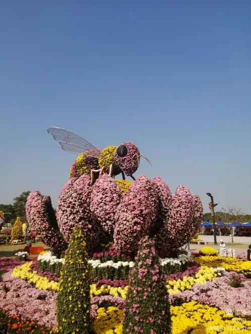 2020中山小榄菊花会