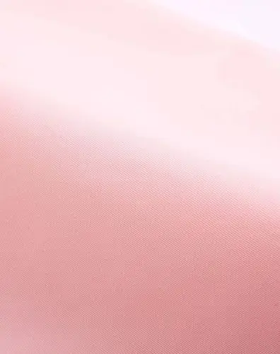 浅粉红色水钻装饰收腰连衣裙