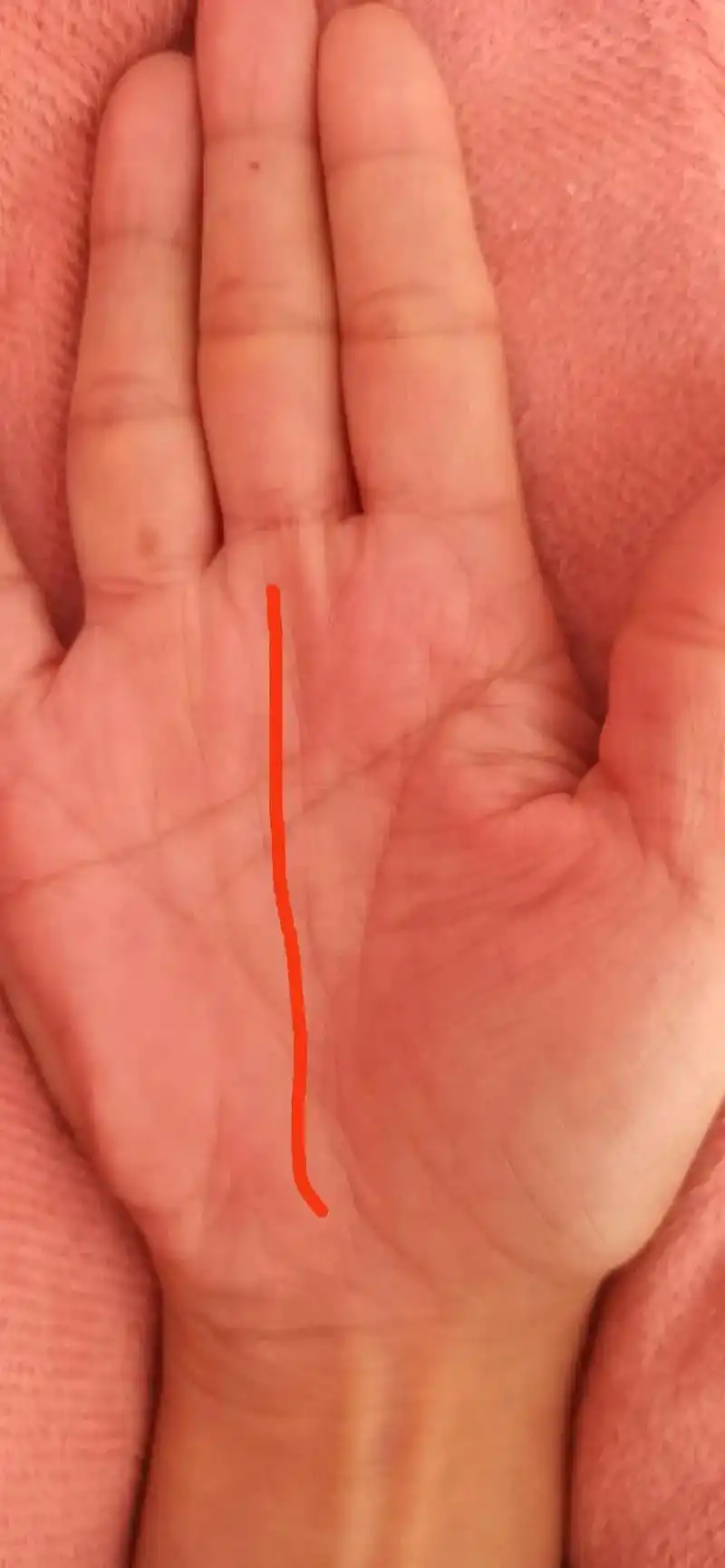 据说手相中 - 抖音