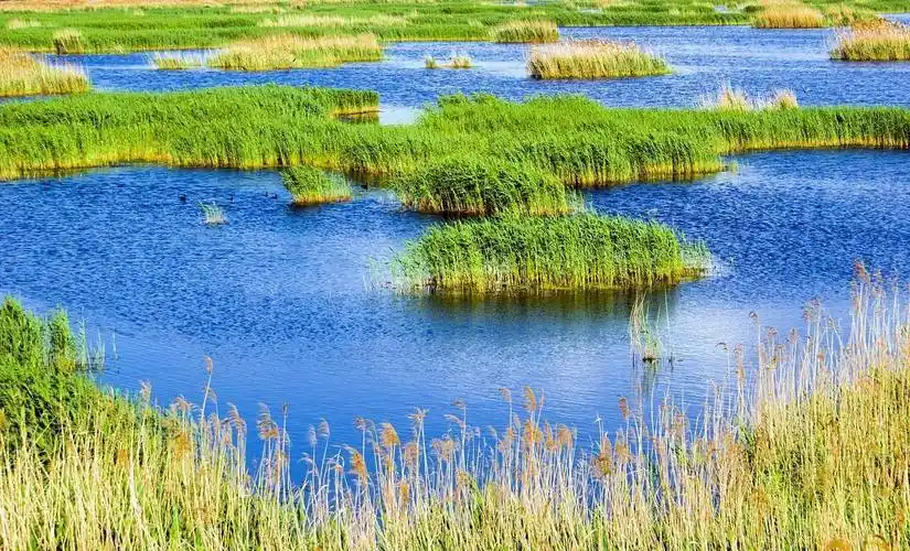 03 南海湿地敕勒川风景区是位于包头市西南部的一个自然风光区,也是