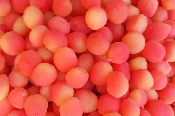 2022新年祝福语大全鼠年简短微信祝福语