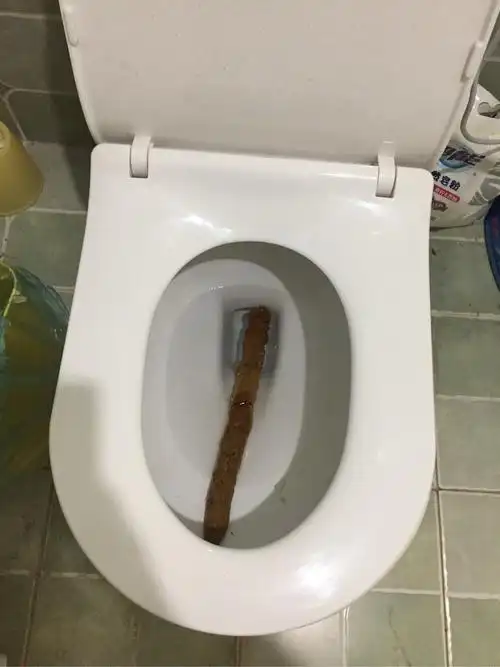 如何拉出一根50cm长的屎