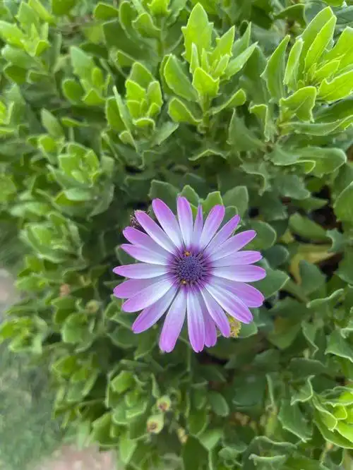 凉爽的天气避暑