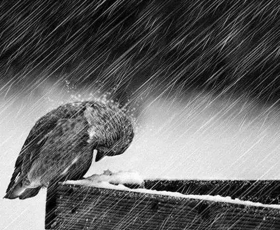 一组孤独的照片那种孤独和落寞只有经历过的人才会懂