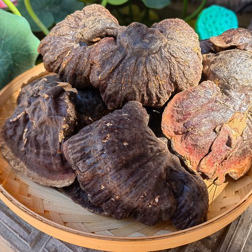 微苦纯野生灵芝西藏赤芝松杉灵芝整枝白肉白心干货泡茶250g切片