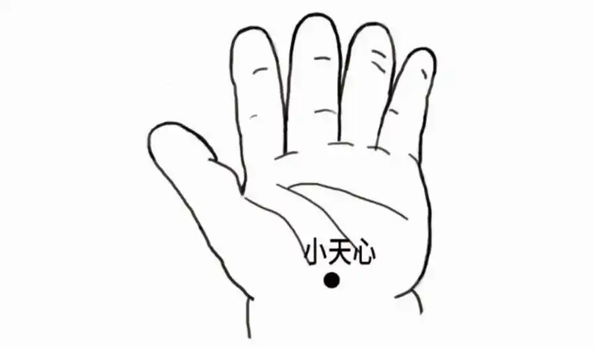 6.揉小天心5.掐少商4.揉耳后高骨3.运太阳2.推坎宫1.