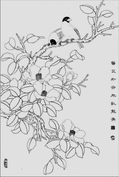 花鸟图(白描)