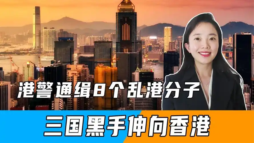 港警通缉8个乱港分子,三国黑手伸向香港,李家超10个字亮明决心_凤凰网