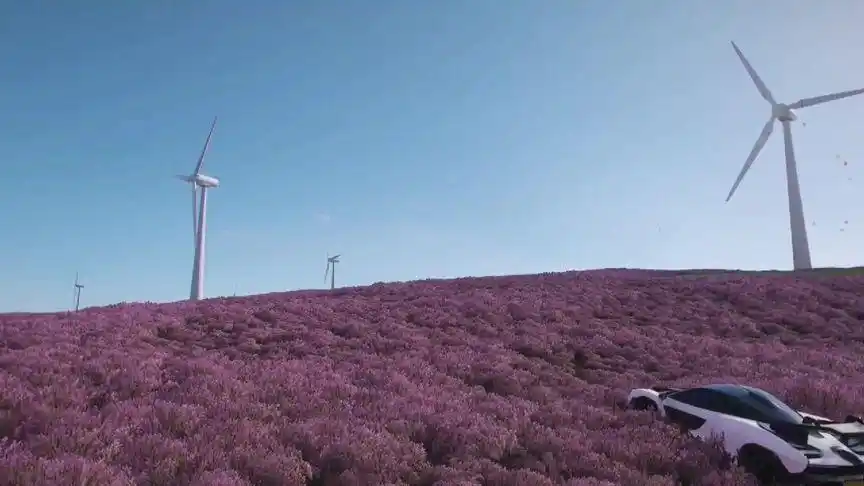 一起奔赴花海吧###地平线4 #地平线风景