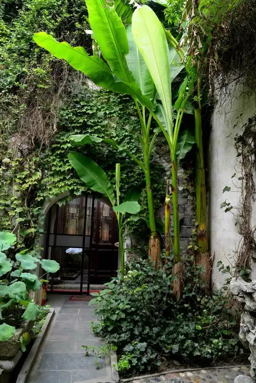 南浔留荫庐 - 品味江南小院