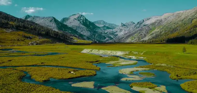 阿尔泰山生命家园对话新疆文物考古研究所研究馆员于建军