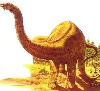 p>叉龙(学名:dicraeosaurus)是一属小型的 a